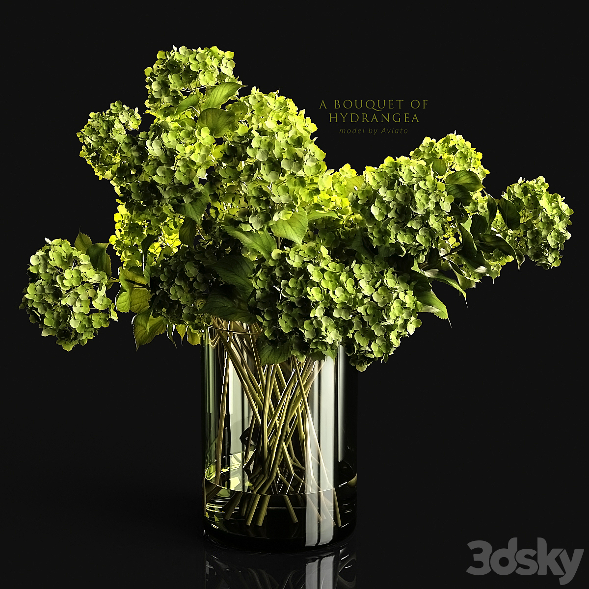 AbouquetOf Hydrangea 2014_小熊猫超级