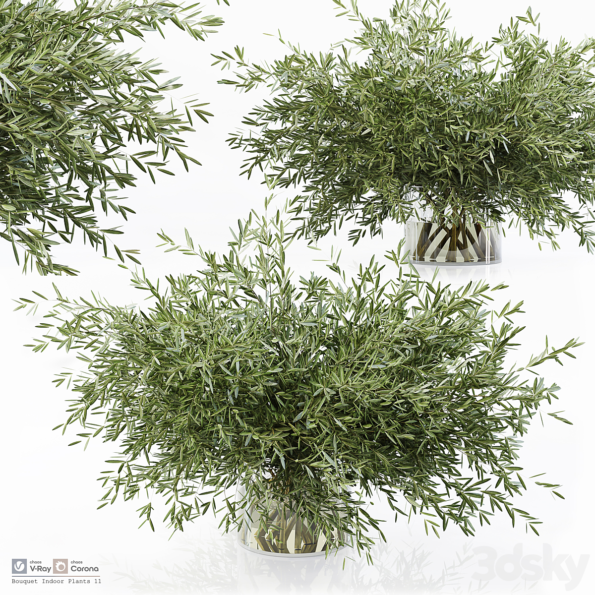 Bouquet Indoor 植物 11_小熊猫超级