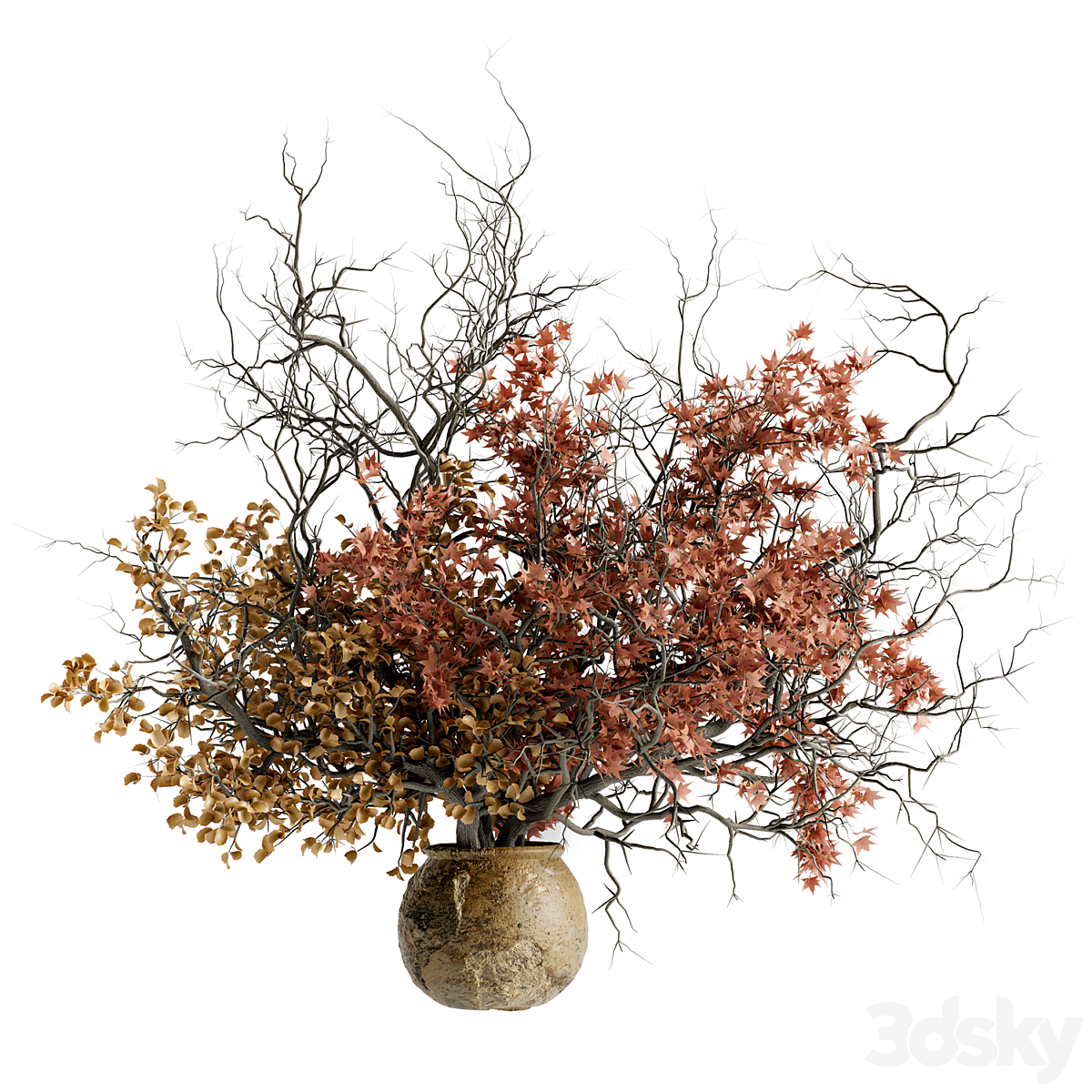 Red maple clay pot, dried bouquet 24_小熊猫超级