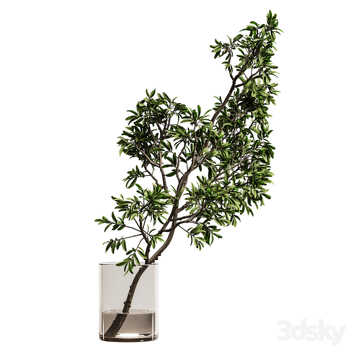 植物 bouquet 花瓶 59 (by.shayan.sharify) 2015_小熊猫超级