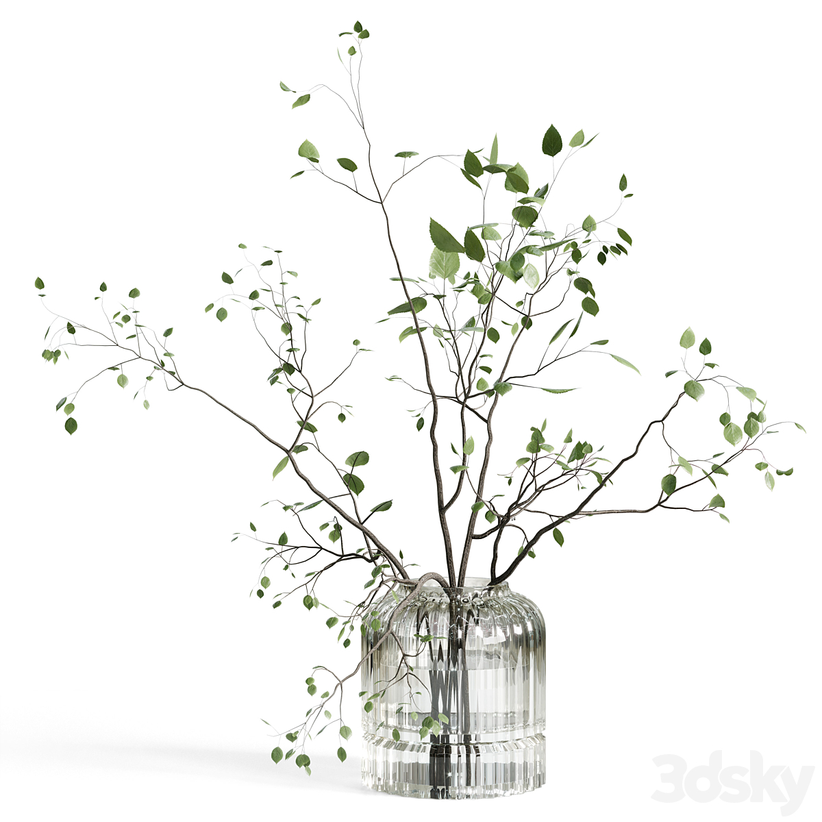 Branches 植物 搭配 galss 花瓶 白色 - bouquet 22_小熊猫超级