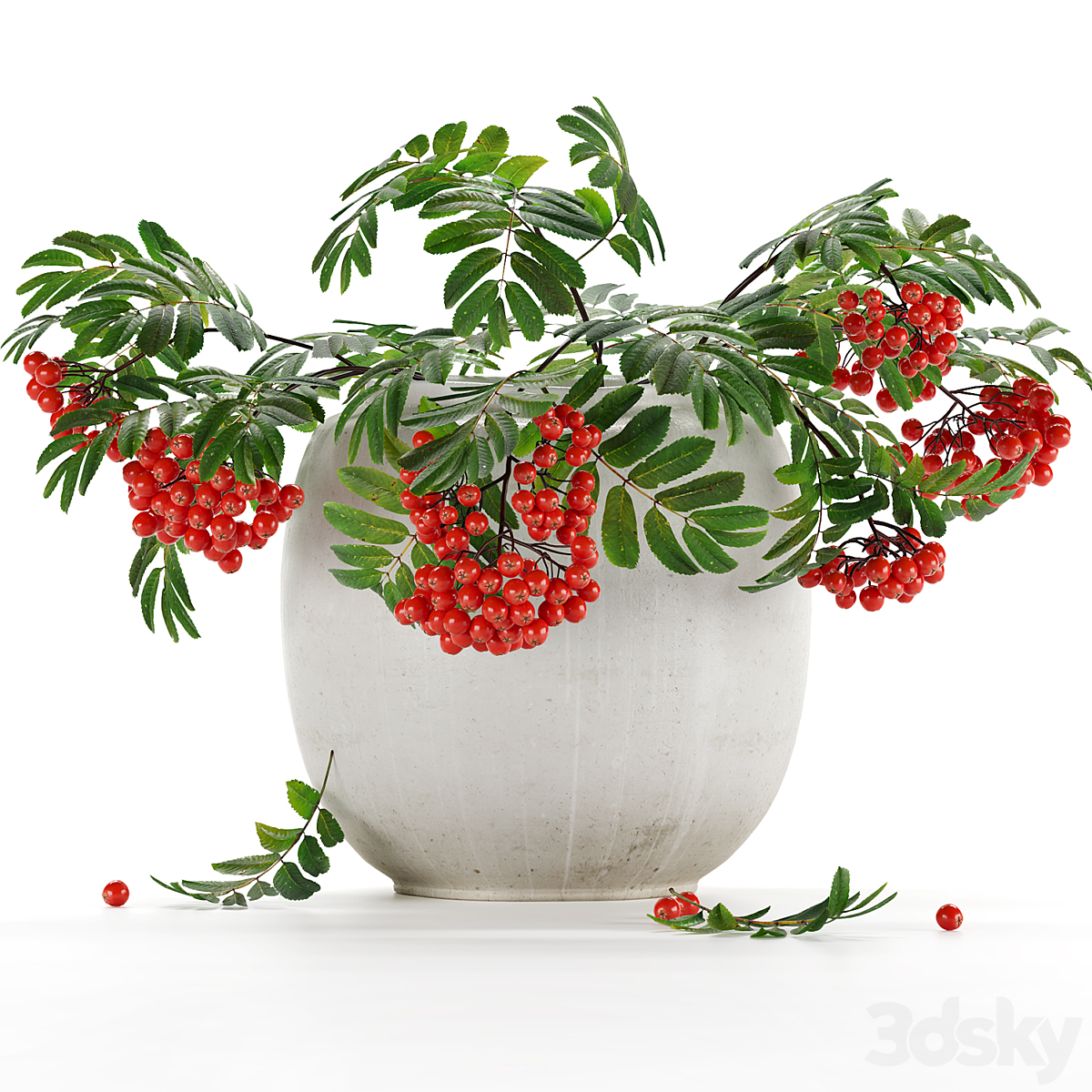 Rowan 3dsmax_小熊猫超级