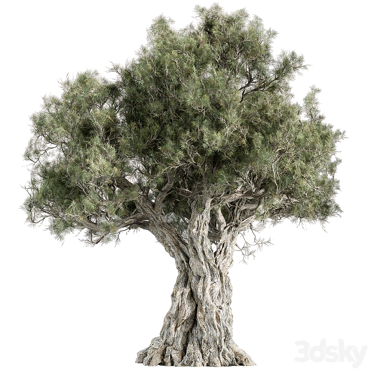 Tree-套装197( )_小熊猫超级