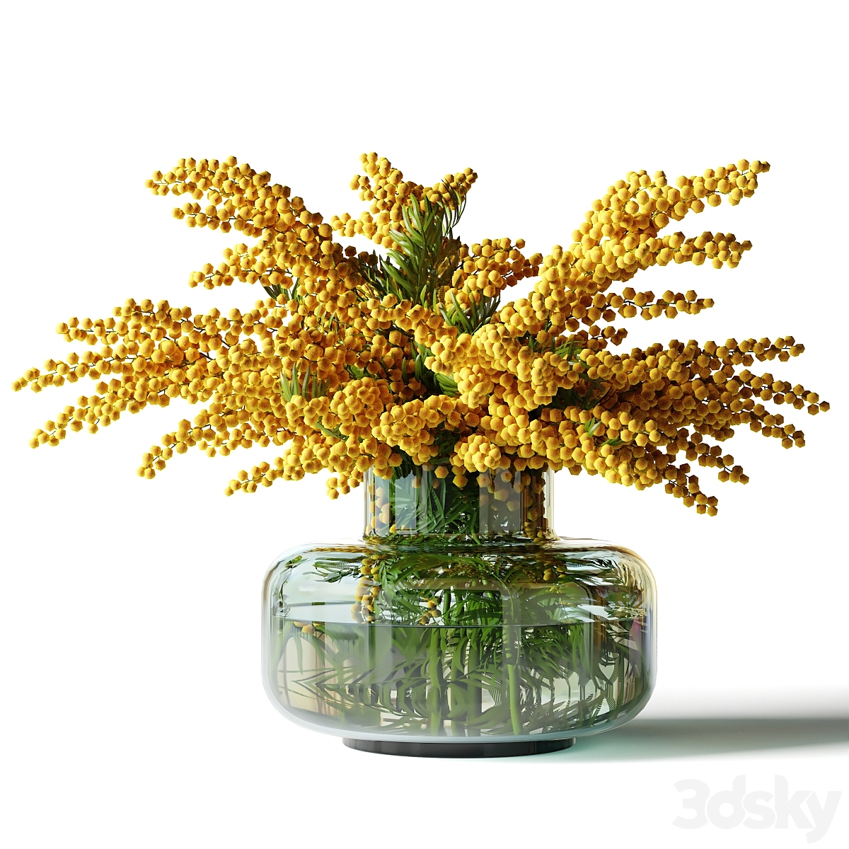 057 mimosa 2015_小熊猫超级