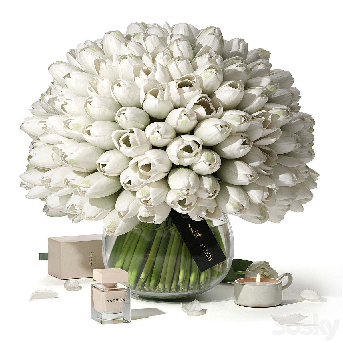 TULIPS LUXURY COLLECTION 2012_小熊猫超级