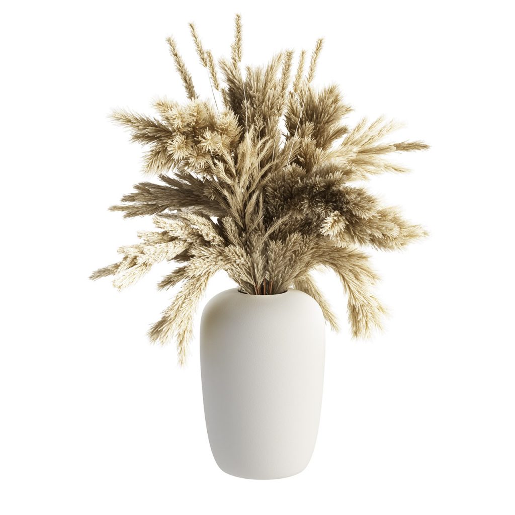 Kristina Dam Studio Apothecary 花瓶 搭配 Pampas Grass_小熊猫超级