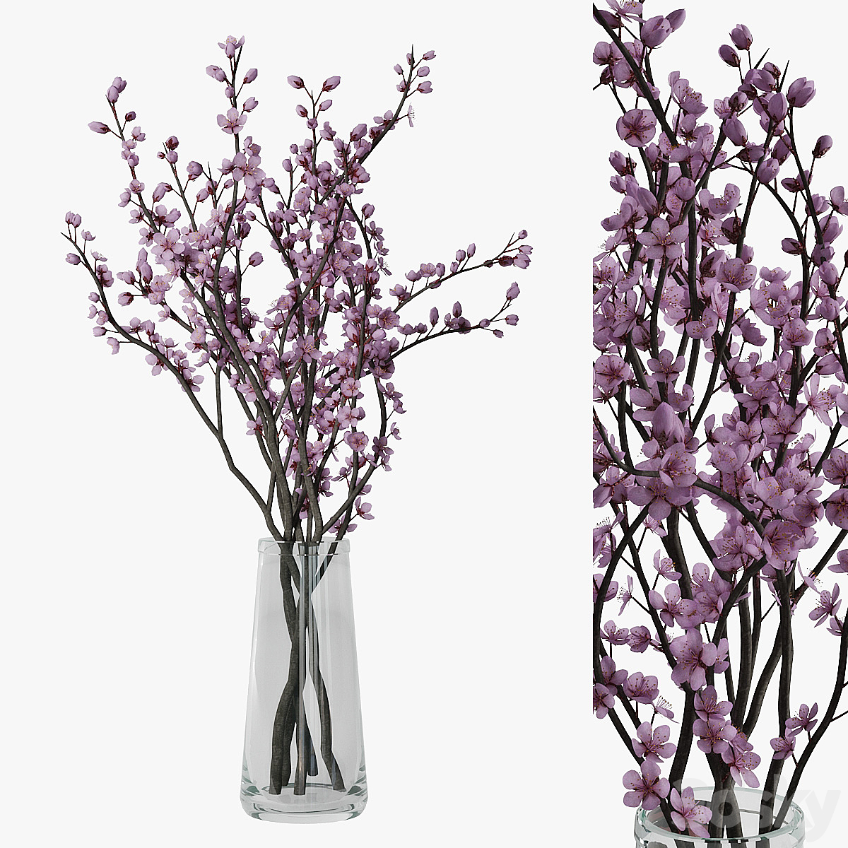 plum blossom2013_小熊猫超级