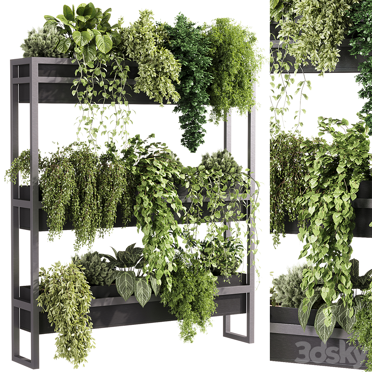 indoor 植物 - 54 植物 支架_小熊猫超级