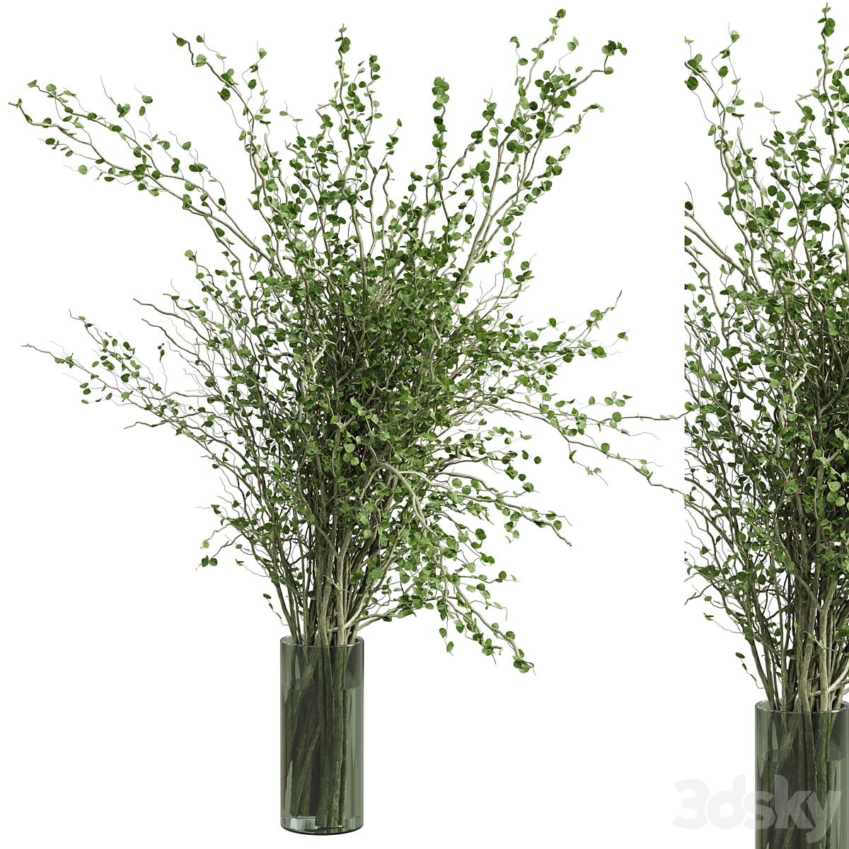 Branches 植物 搭配 galss 花瓶 green - bouquet 40_小熊猫超级