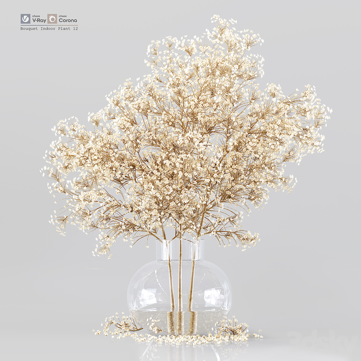 Bouquet Indoor 植物 12_小熊猫超级