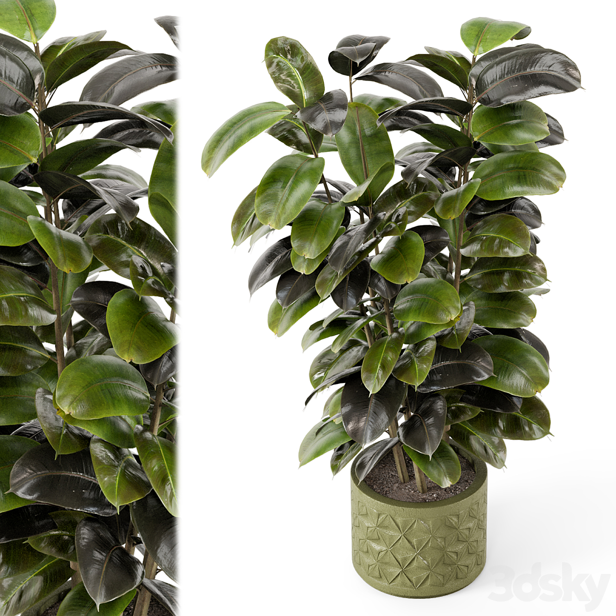 Indoor 植物 rusty Concrete Pot - 套装 845_小熊猫超级