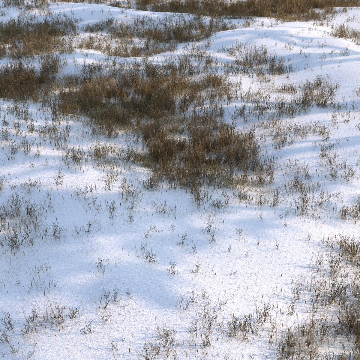 grass 搭配 snow02 2015_小熊猫超级
