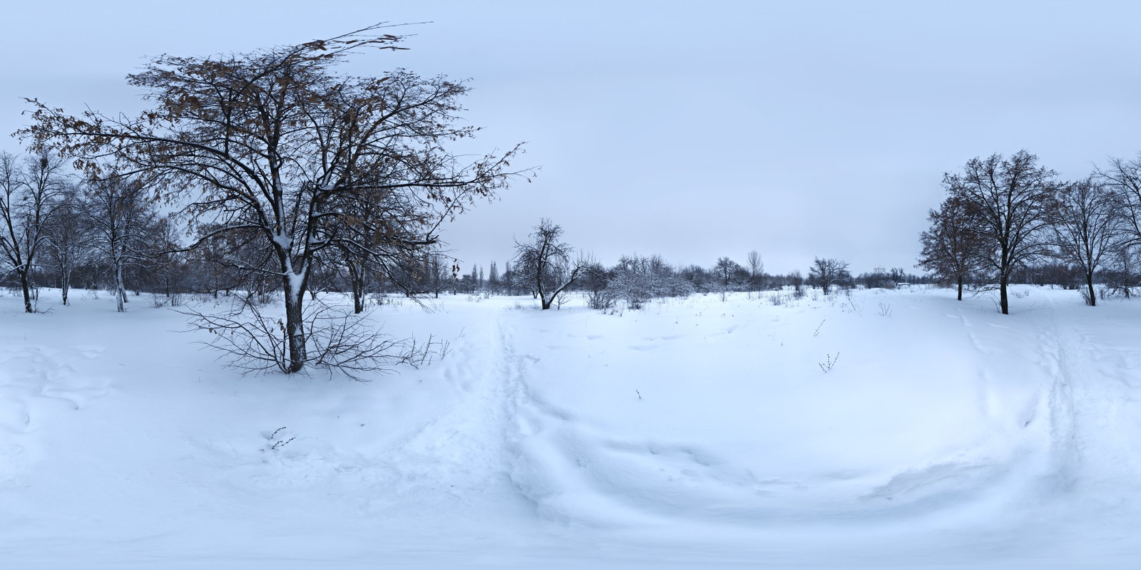 Snowy 公园01_小熊猫超级