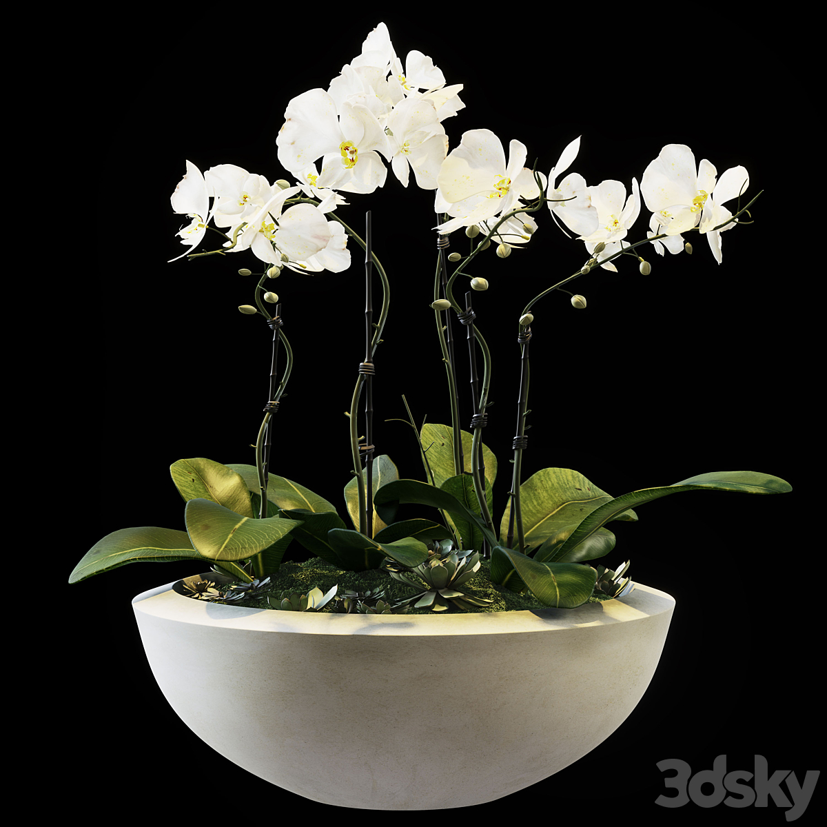 Flowers 05 2015_小熊猫超级