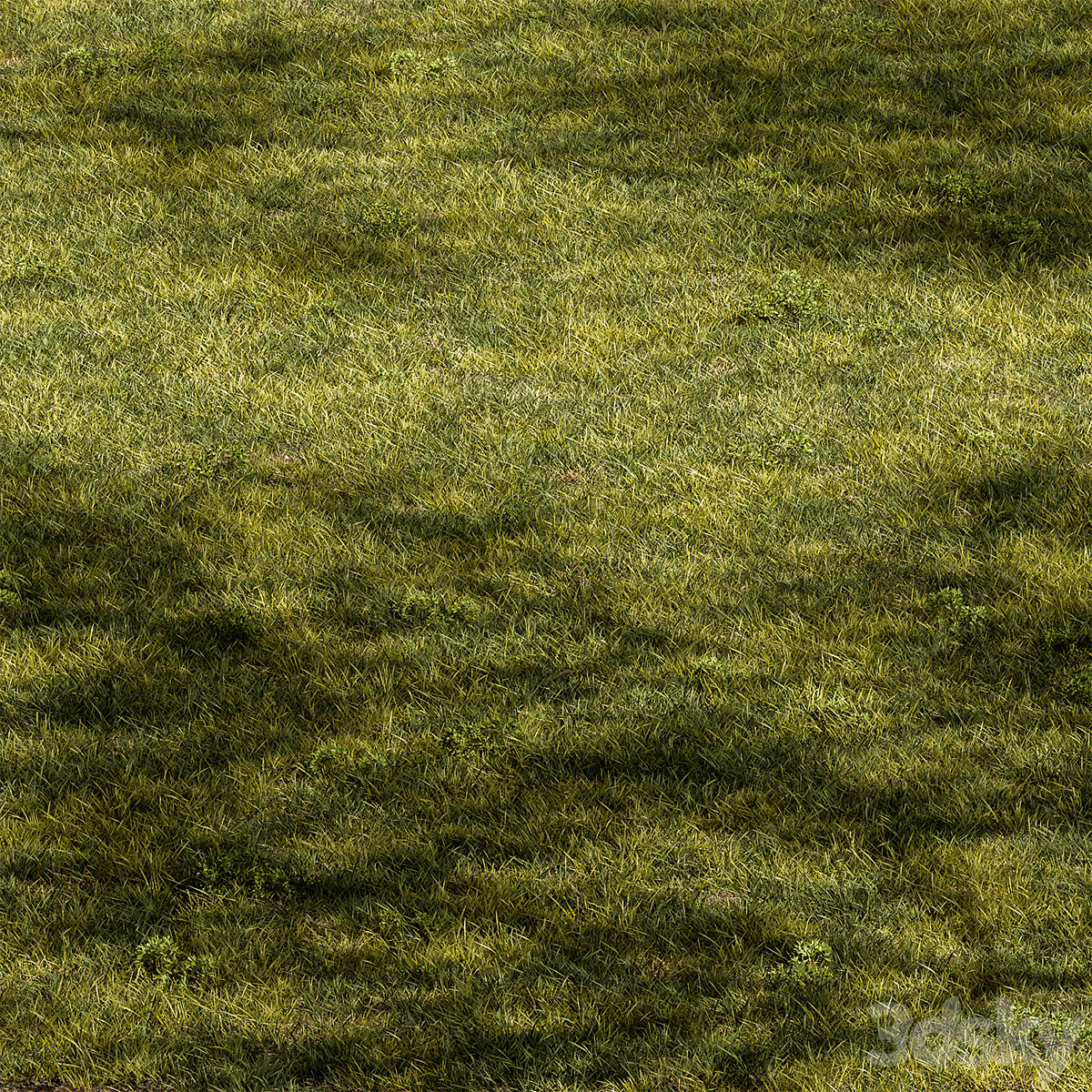 Grass-套装31( )_小熊猫超级