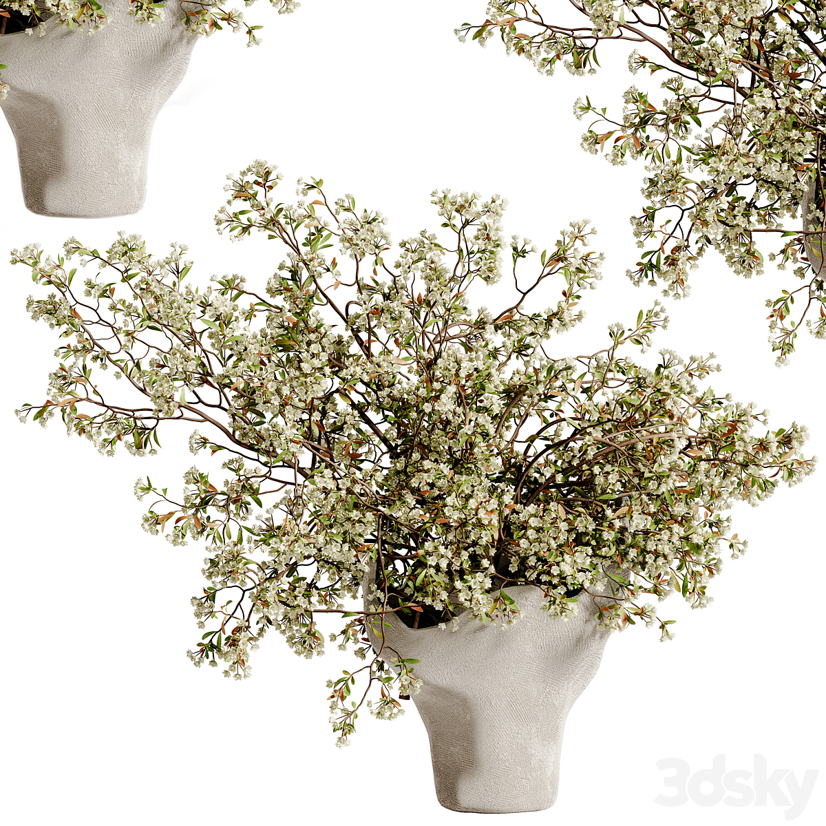 植物 bouquet 花瓶 48 (by.shayan.sharify) 2015_小熊猫超级