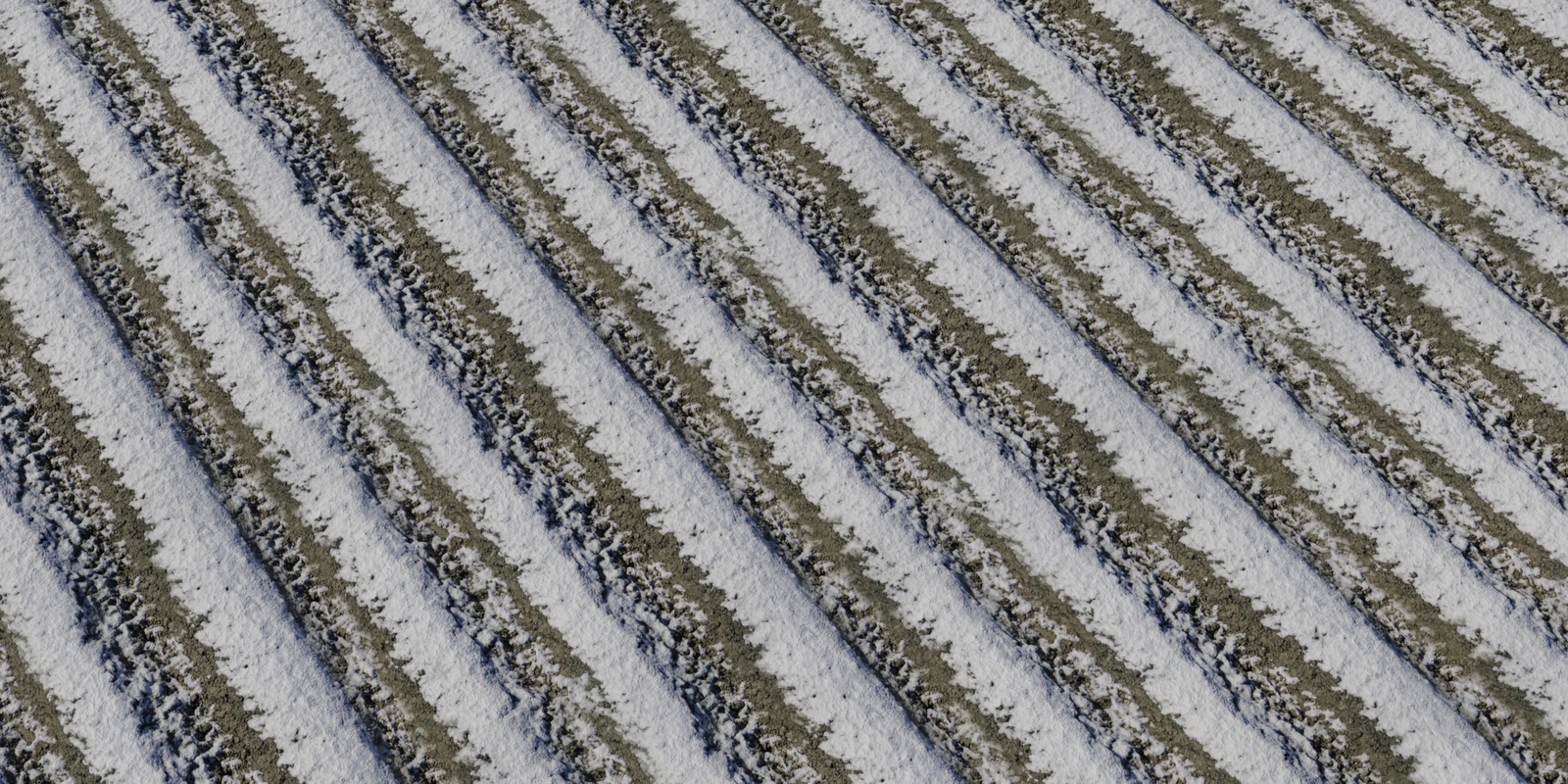 积雪04_小熊猫超级