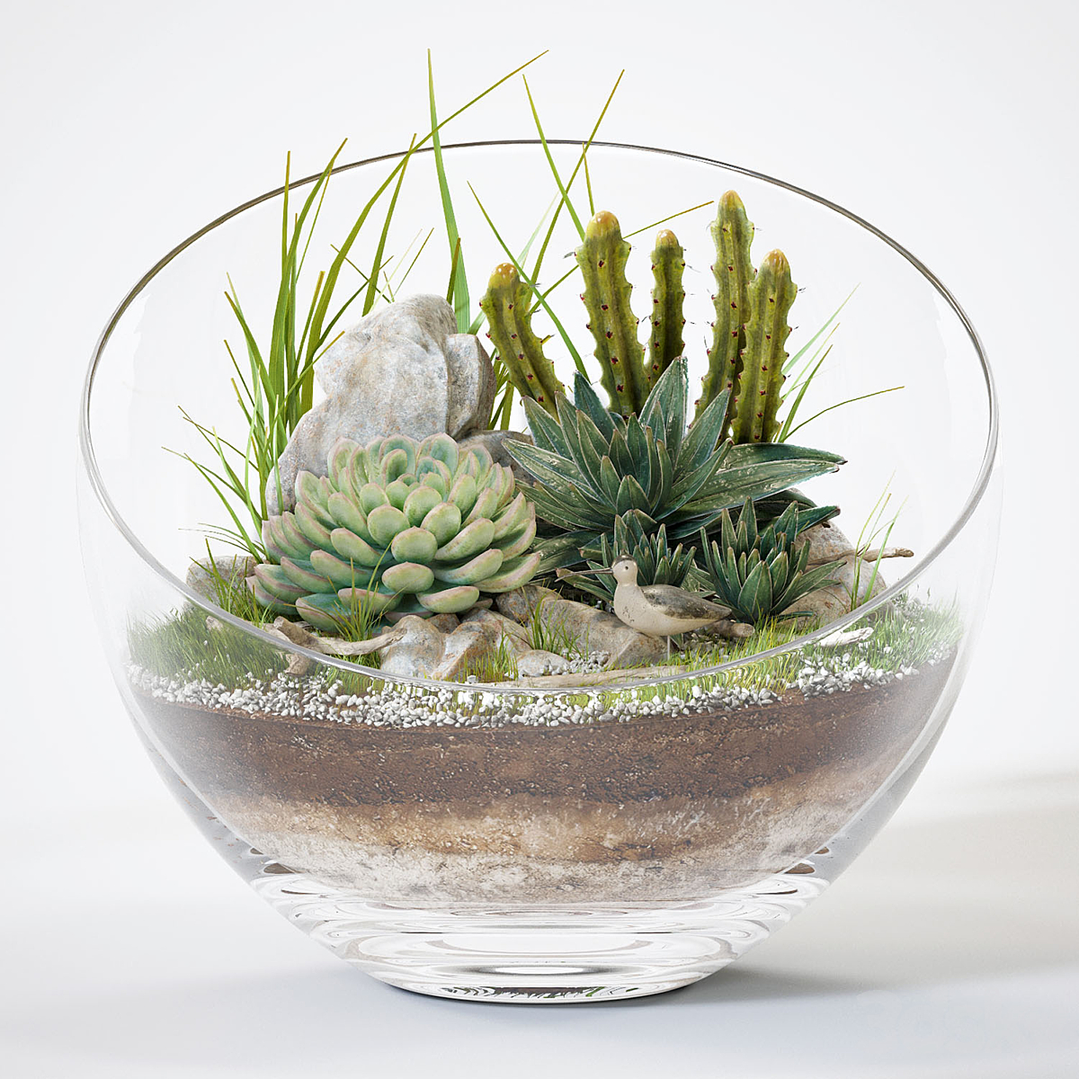 Florarium 15_小熊猫超级