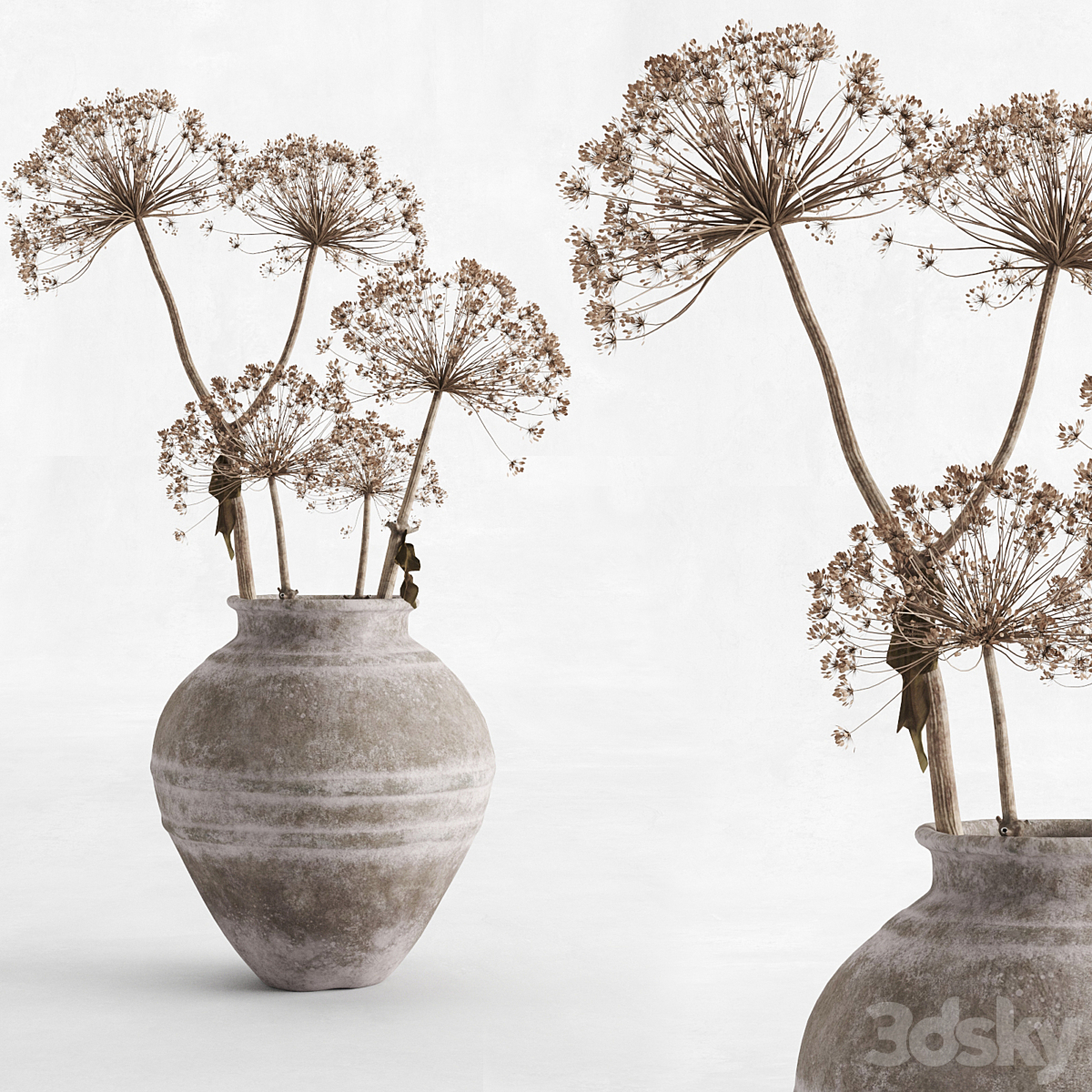 Hogweed 花瓶_小熊猫超级