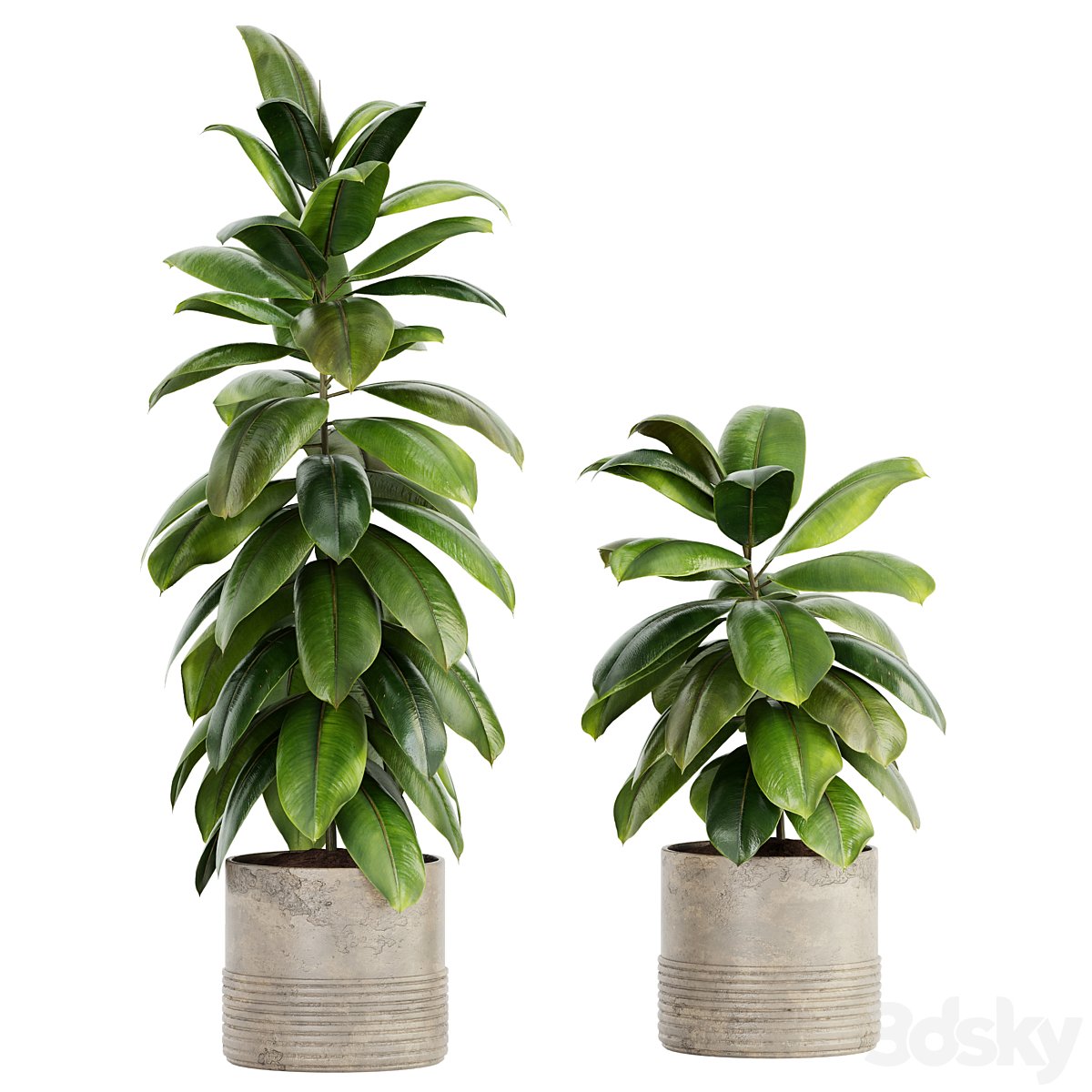 Indoor 植物 套装 045_小熊猫超级