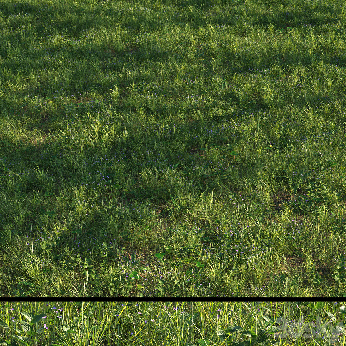 grass13 2015_小熊猫超级