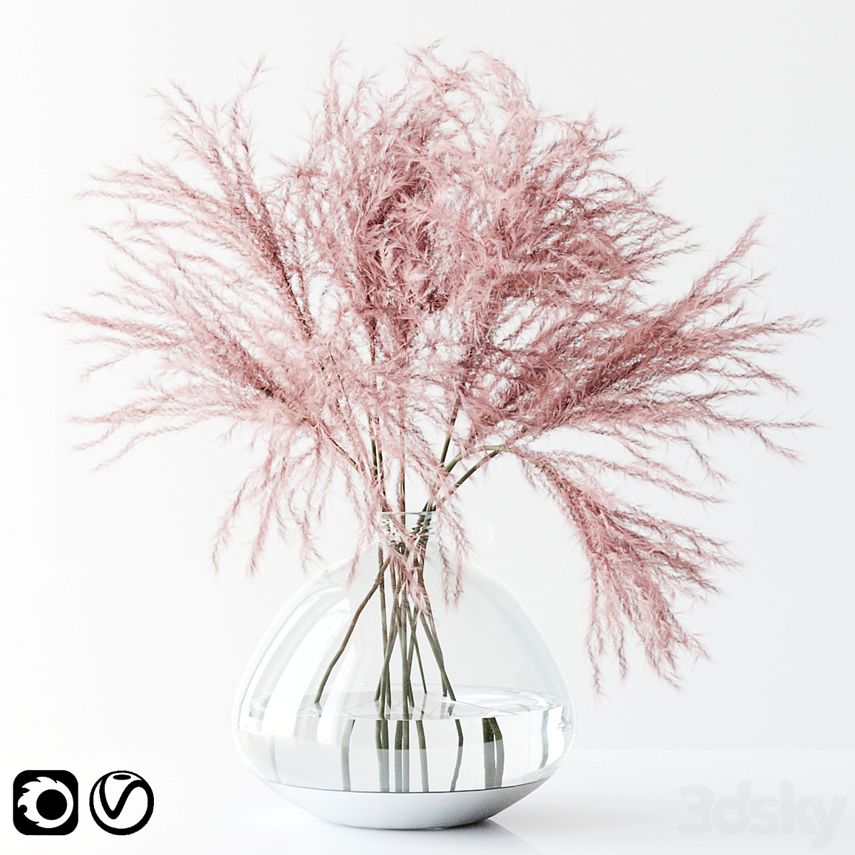 Pink Pampas_小熊猫超级