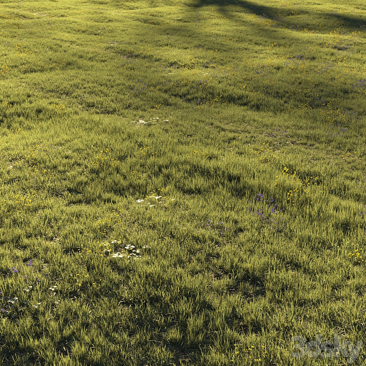 Grass 及 flower scatter_小熊猫超级