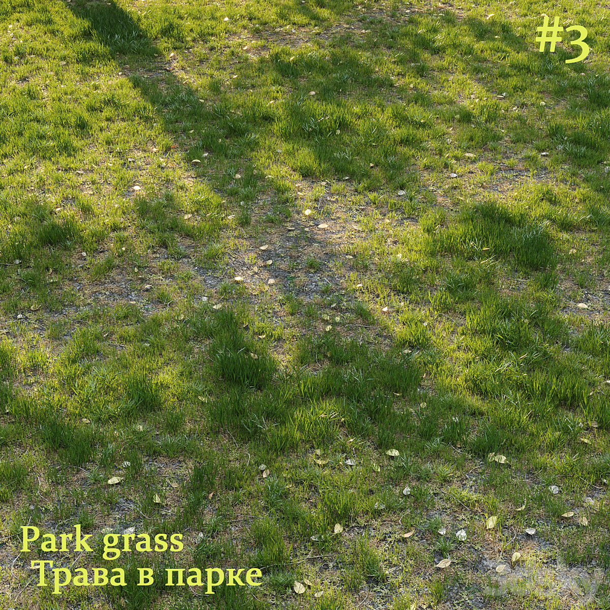 Park Grass V3 2016_小熊猫超级