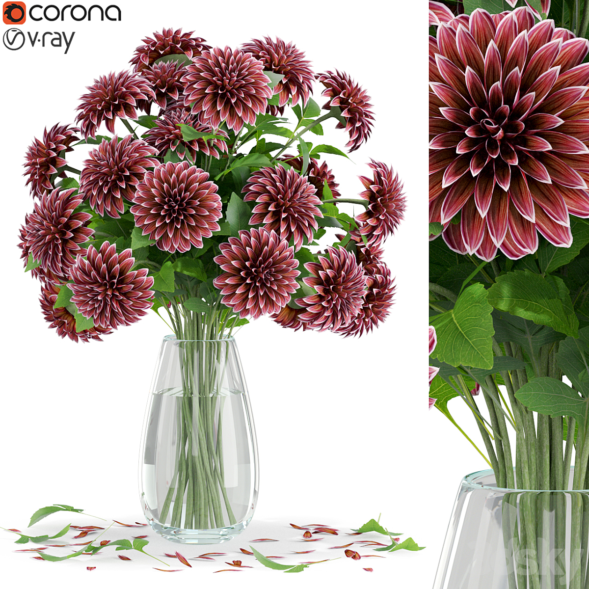 Bouquet 10 max_小熊猫超级