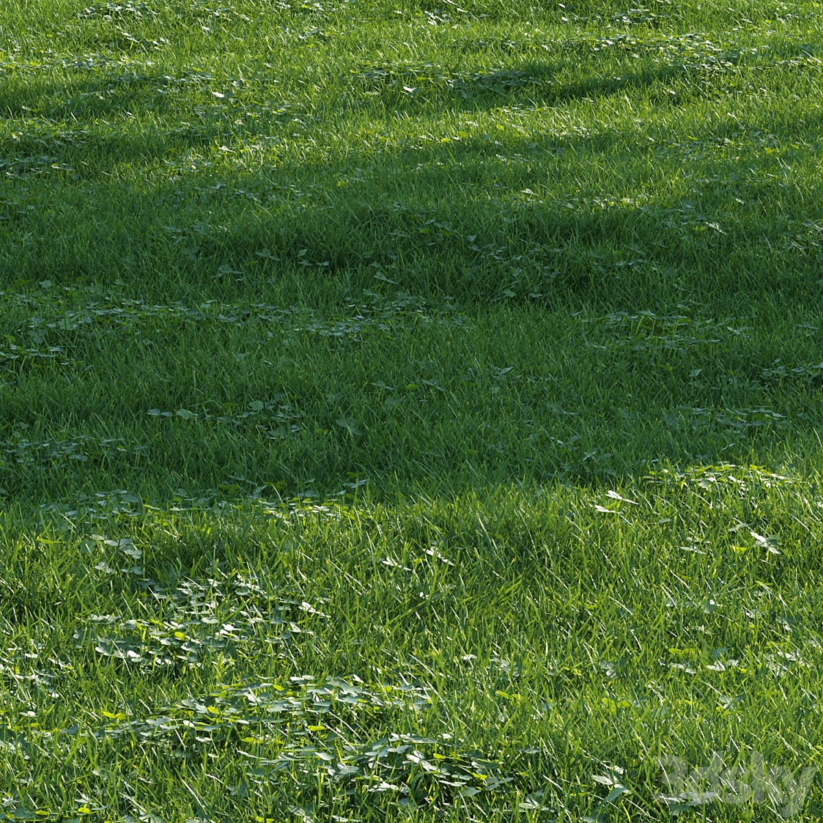 Grass018 2015_小熊猫超级