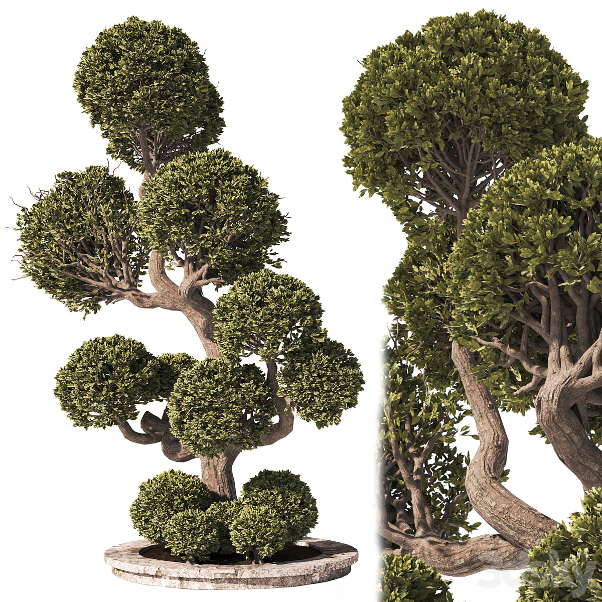 Graden-Tree-及-Bush-01_小熊猫超级