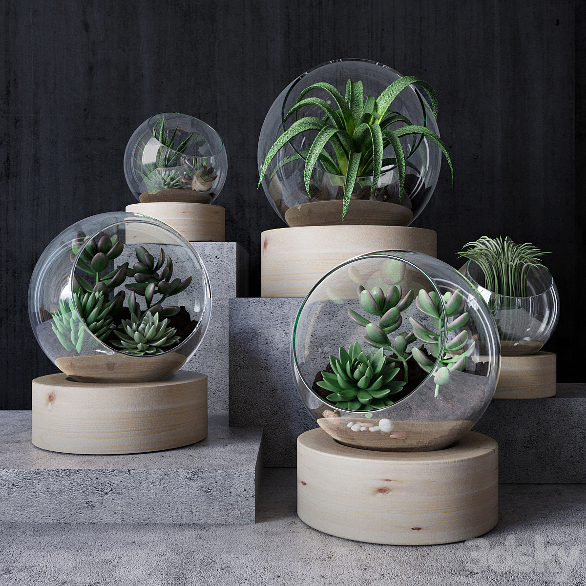 Florarium_小熊猫超级
