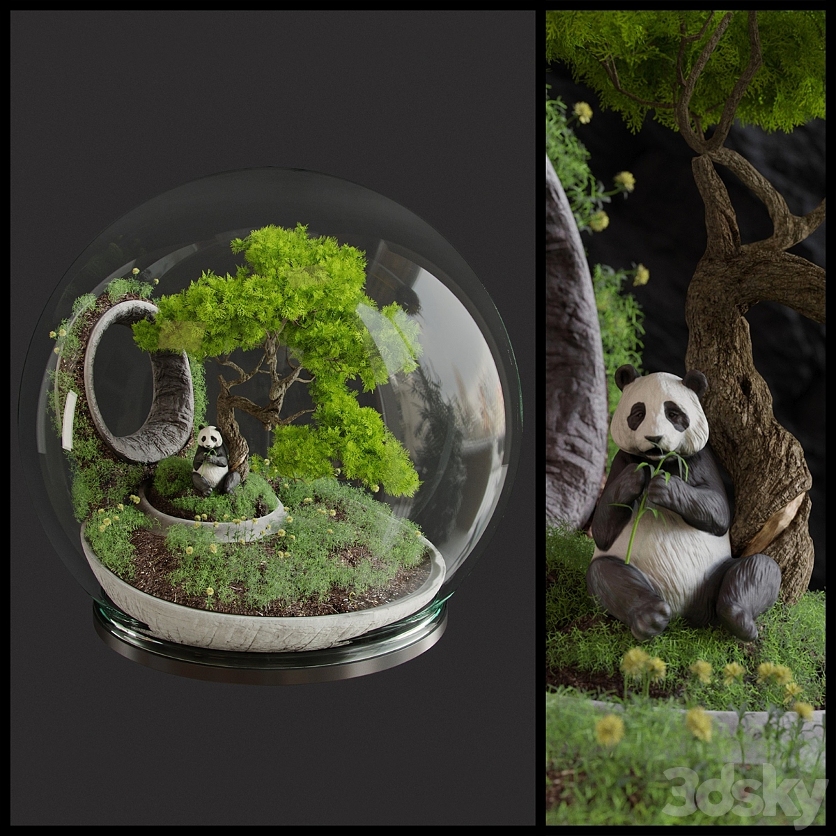 Florarium Bonsai_小熊猫超级