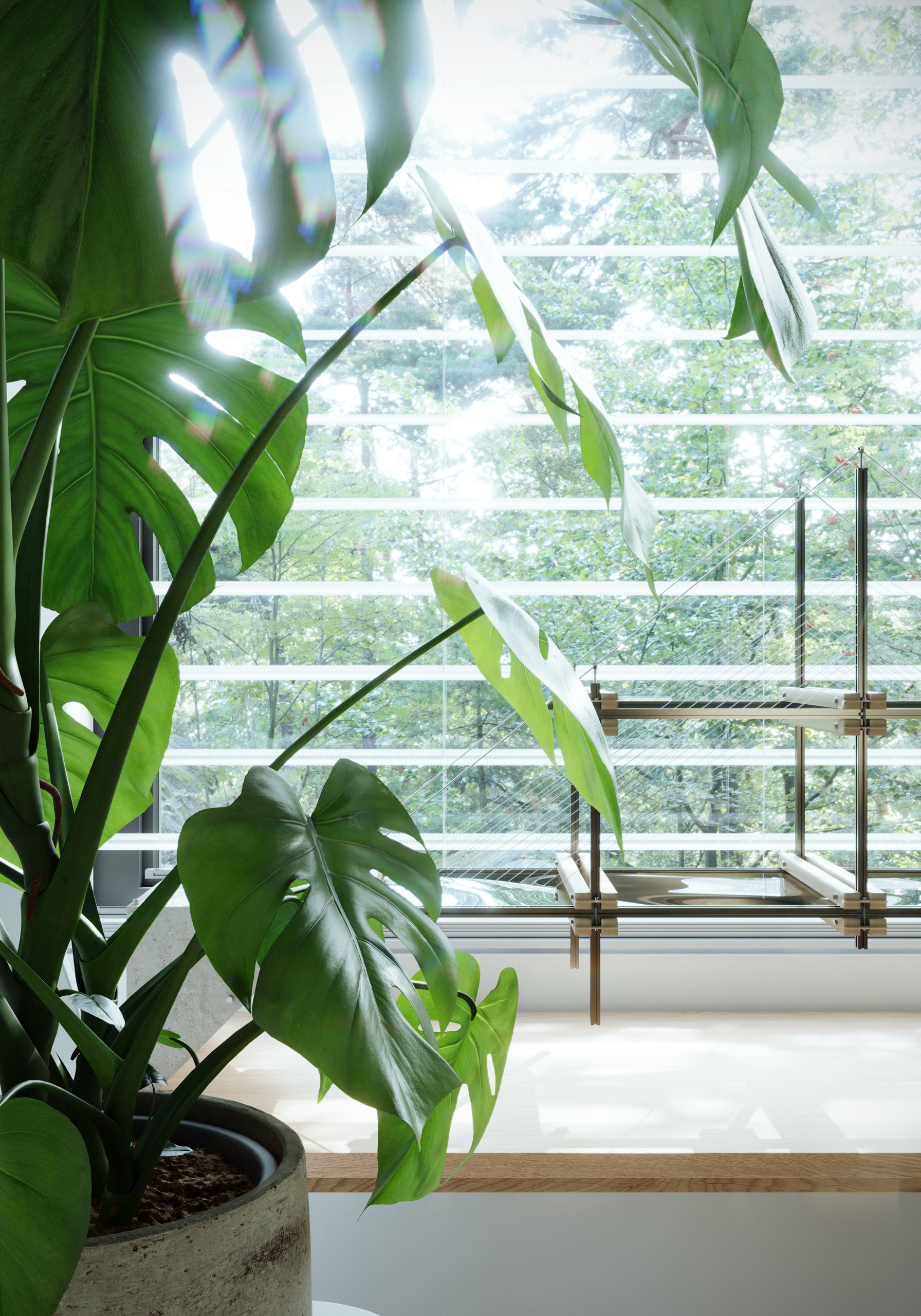 夏日元气小屋，图片 29