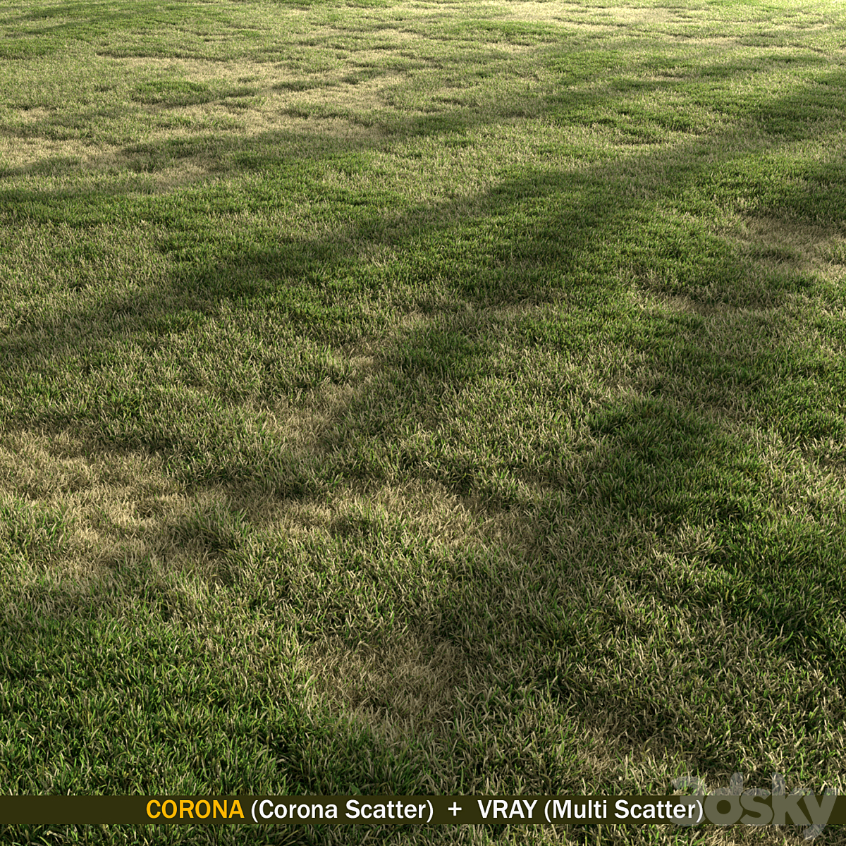 Semi Dry Grass_小熊猫超级