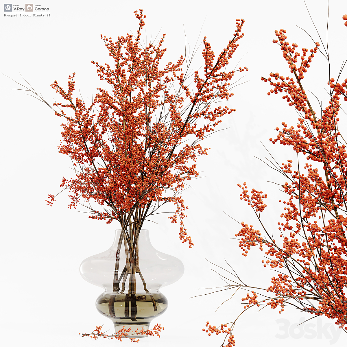 Bouquet Indoor 植物 21_小熊猫超级