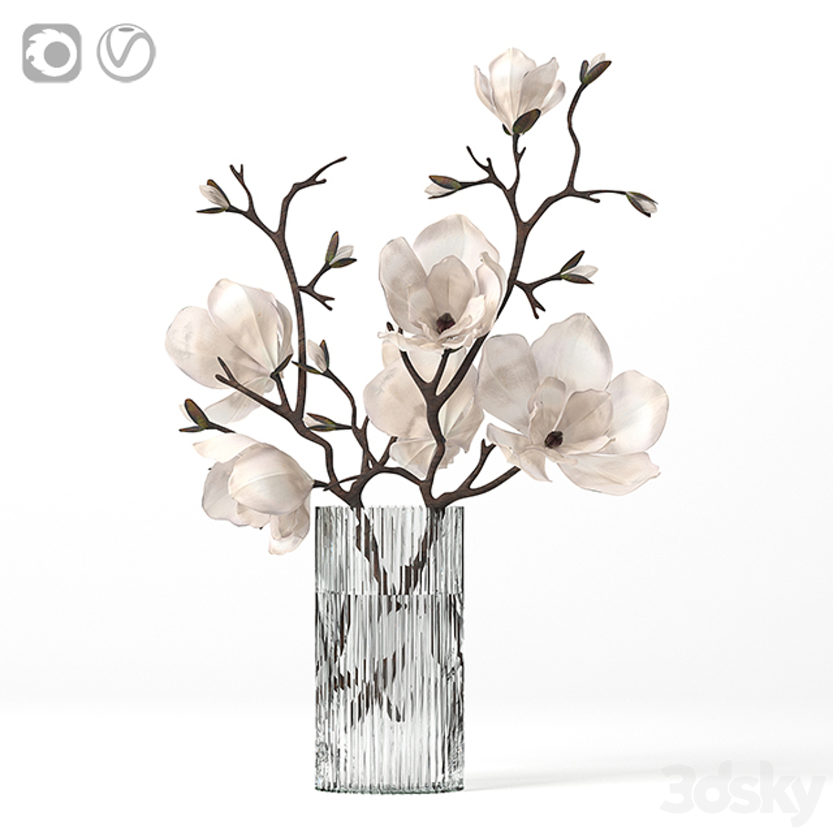 Magnolia_小熊猫超级