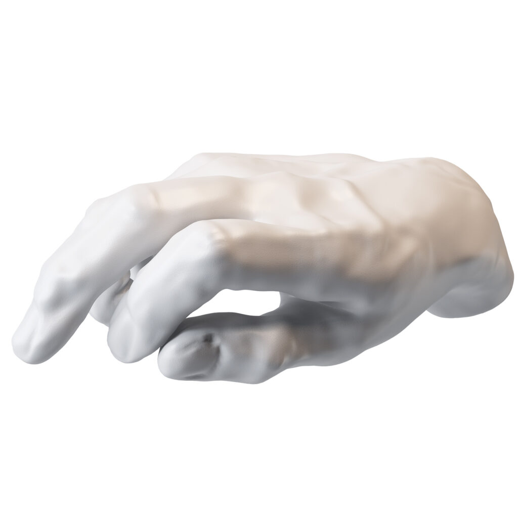 Seletti 〇2026小熊猫超级Male Hand 装饰 雕塑 Object_小熊猫超级
