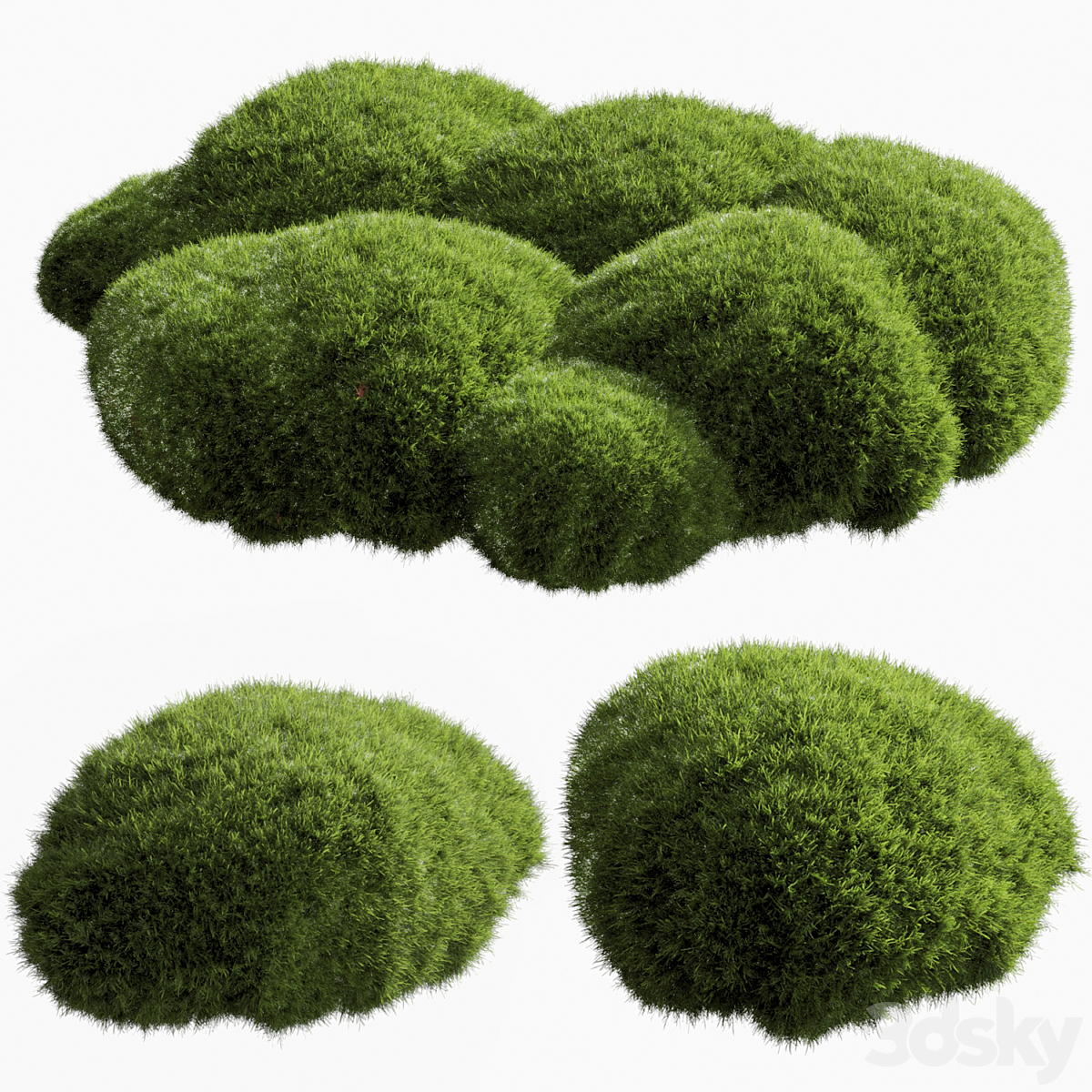 bush outdoor grass 051_小熊猫超级