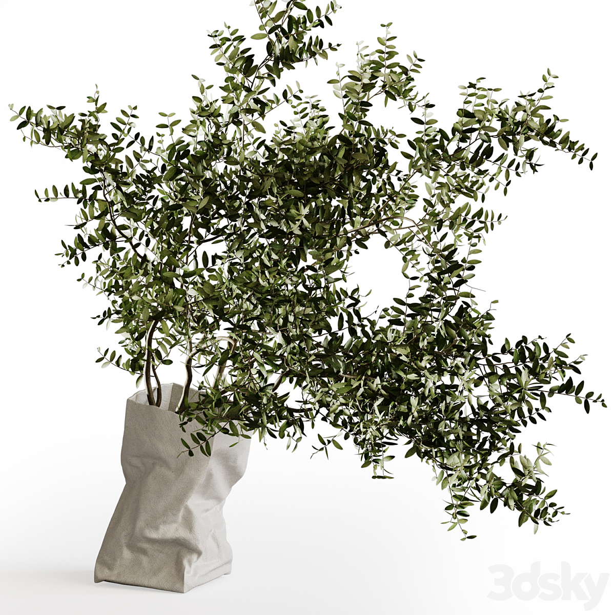 Serax with branches Paper Bag 花瓶_小熊猫超级