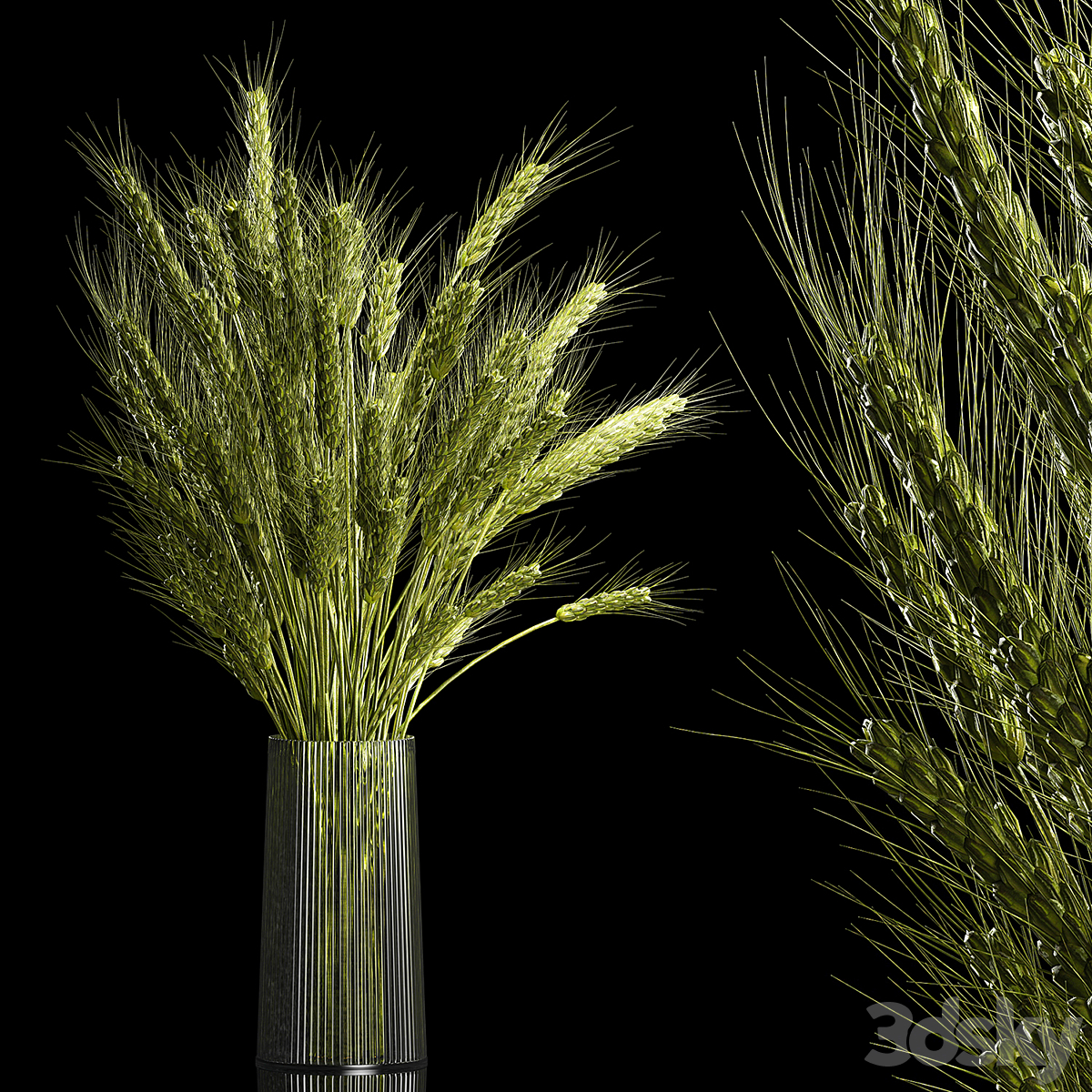 FLAWERS 23072022_小熊猫超级