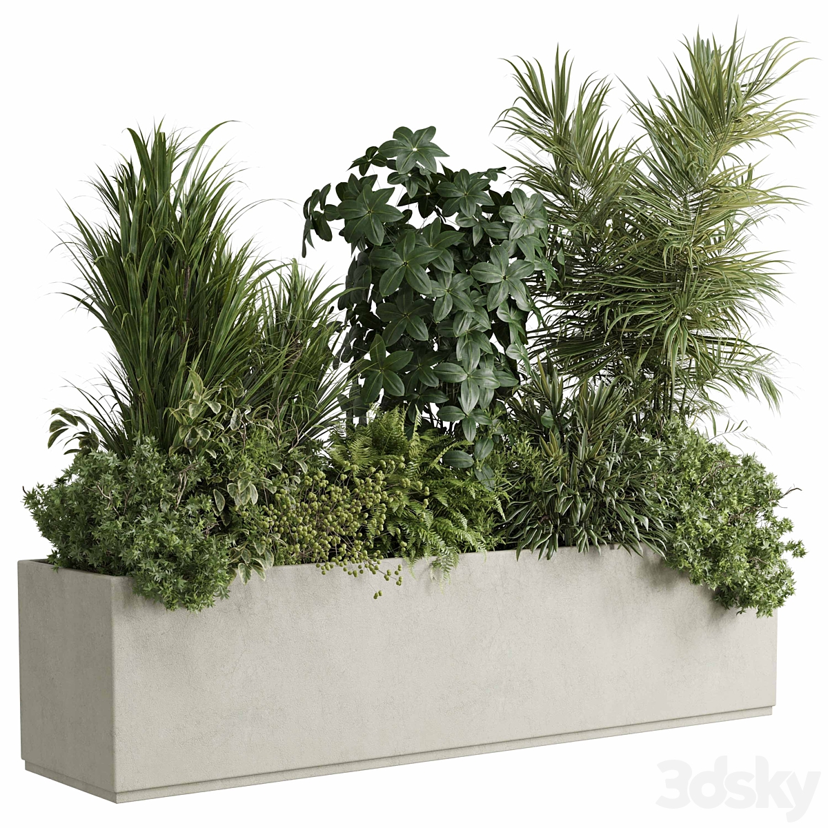 concrete 收纳盒 植物 on 支架 - 套装 indoor 植物 445_小熊猫超级