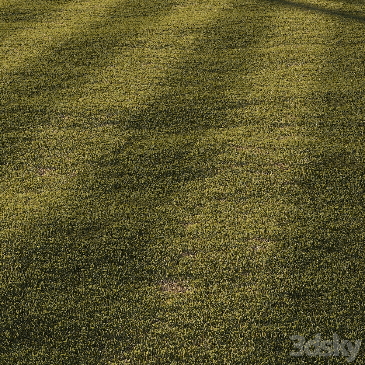 Mowed lawn Grass_小熊猫超级