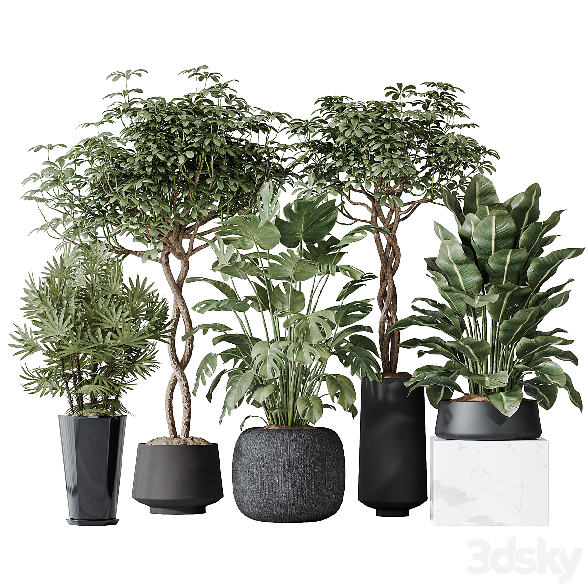 Indoor 植物 套装 04_小熊猫超级