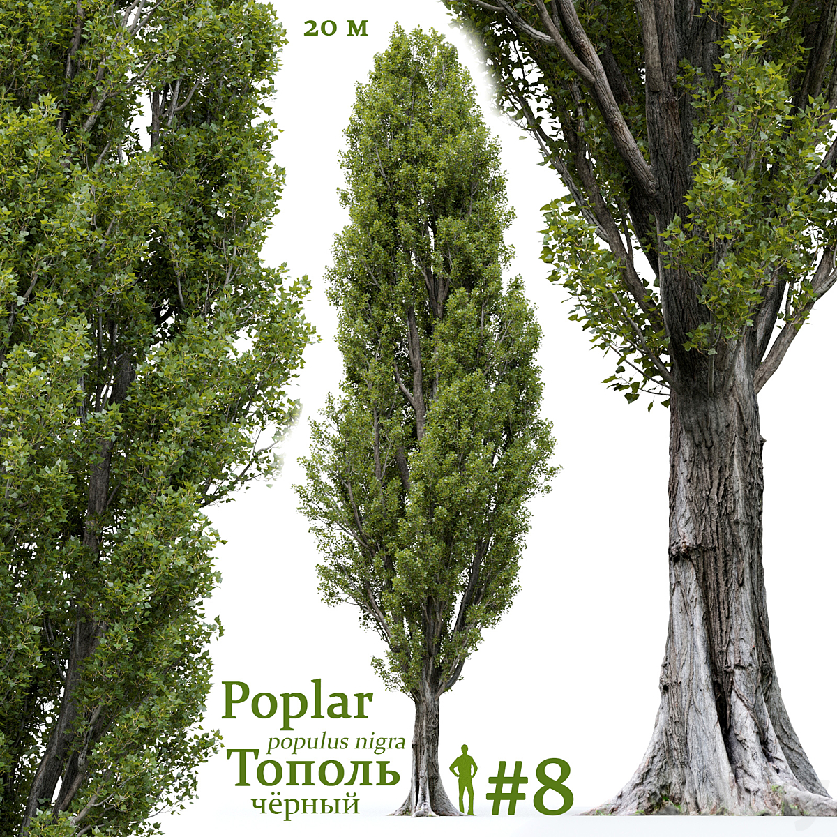 Poplar V8 2016_小熊猫超级
