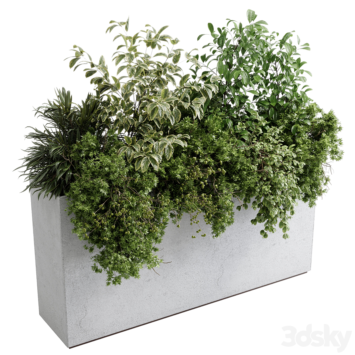 办公 植物 - concrete 收纳盒 植物 on 支架 - 套装 indoor 植物 588_小熊猫超级