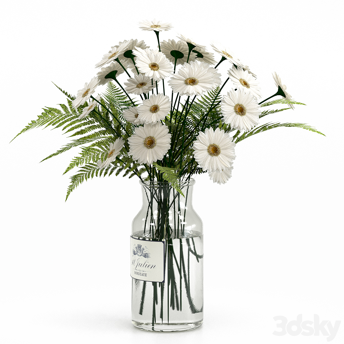 Daisies ( )_小熊猫超级