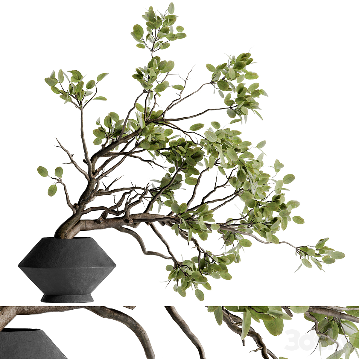 twig bouquet inserted into clay pot 02_小熊猫超级