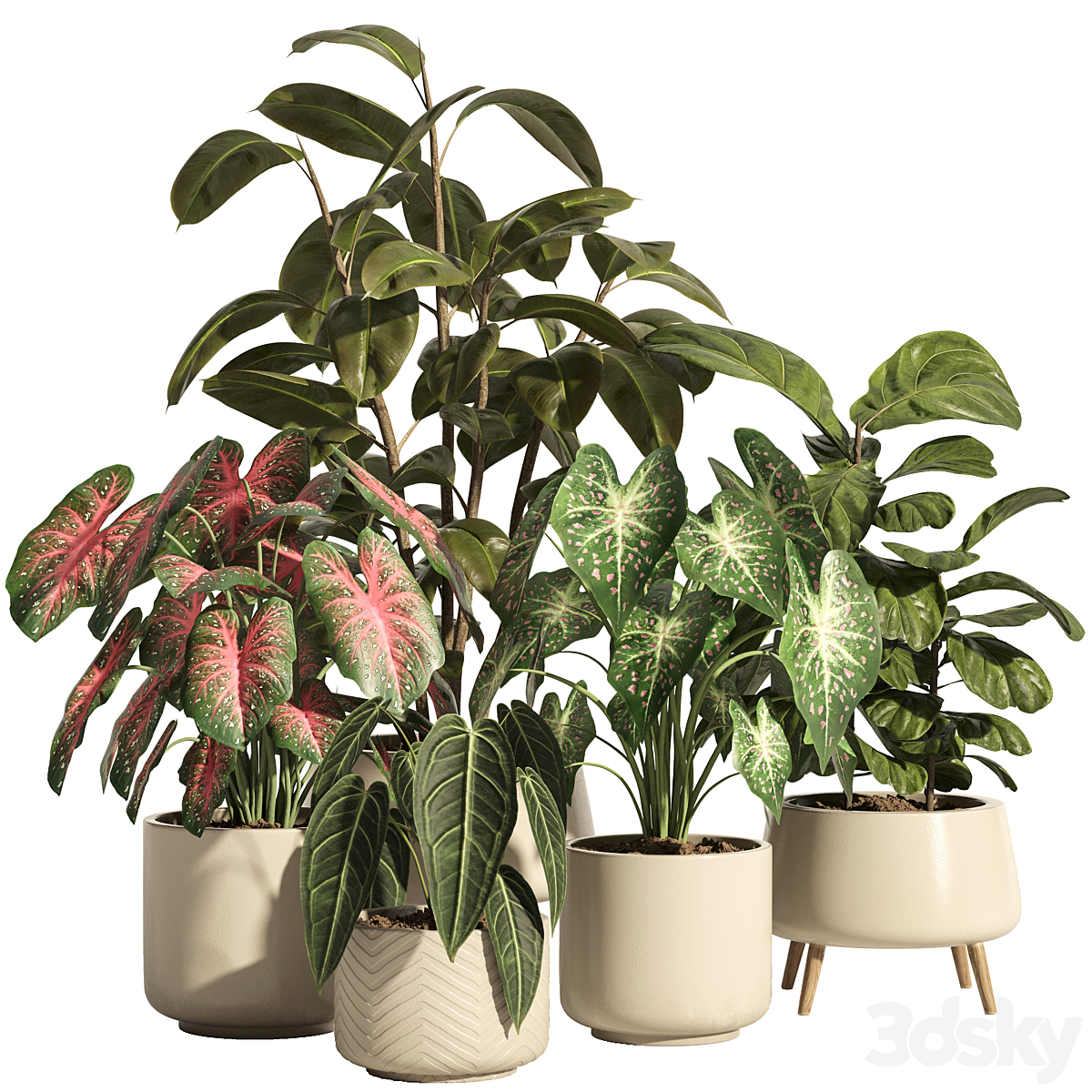 indoor 植物 套装 73- ceramic pot_小熊猫超级