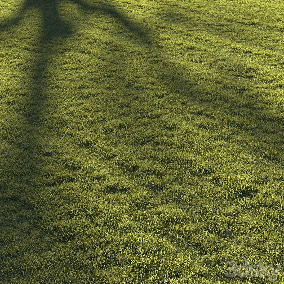 Lawn grass №2_小熊猫超级